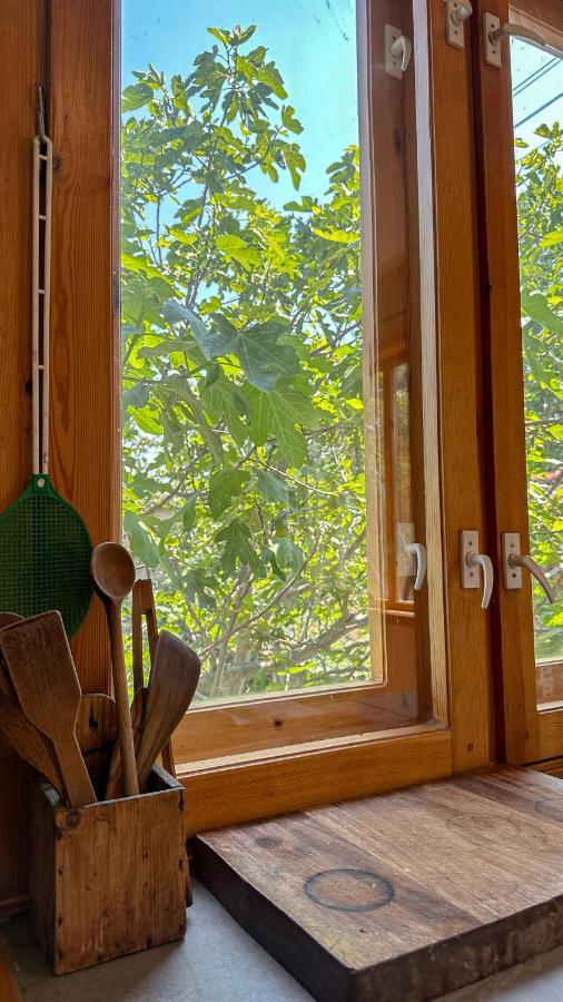 Camping Kromidovo Kültér fotó
